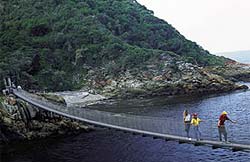 Garden Route Tours