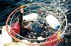 Great White Shark cage diving - Gansbaai, South Africa