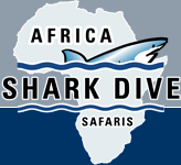 Great White Shark Cage Diving in South Africa with Africa Shark Dive Safaris